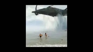 Ейск. "Волна хорошая". Стальные нервы!!!