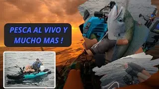 PESCA EN KAYAK, JIGGING, CURRICAN, VIVO, IMPRESIONANTE ESTE PEZ, LA REALIDAD DE LA PESCA #7 #dorados