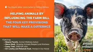 Helping Animals by Influencing the Farm Bill: The Four Key Provisions That Will Make a Difference
