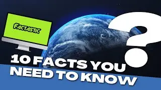 10 Fascinating Facts You Probably Didn't Know