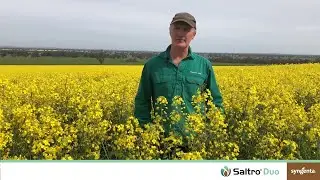 Grower turns to SALTRO® DUO for seedling blackleg control