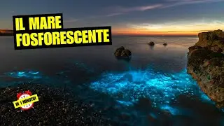 UN MARE BLU FOSFORESCENTE