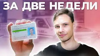 Водительские права в Японии 🇯🇵