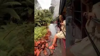 Необычный поезд