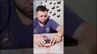 Змея Змею не Кусает! 