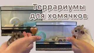 Витрина для хомяка - УБОРКА У ХОМЯКОВ 🤎🤎🤎