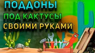 Поддоны под кактусы своими руками. Уход за кактусом. Кактусы и суккуленты.