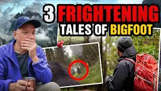 3 True Frightening BIGFOOT Stories • There IS Something in the FOREST