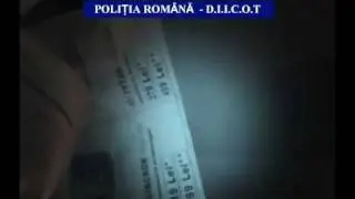 Timisoara - grupare infractionala destructurata