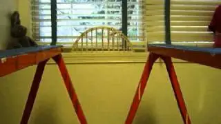 Science Fair Bridge Project