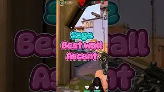 BEST SAGE WALL POST PLANT ASCENT 
