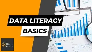 Data Literacy Basics | The Data Governor