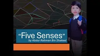 How Many Senses Do We Have? Five Senses