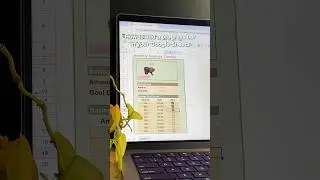 Advanced progress bar in google sheets 🤓