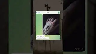 💀 УКУС СИРЕНОГОЛОВОГО ☠️