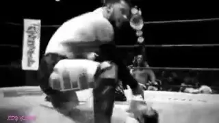 Bullet Club Titantron DWF