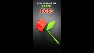 PAPER FLOWER ROSE TUTORIAL