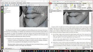 COMO TRADUCIR LIBROS PDF MÁS DE 1000 HOJAS GRATIS Y MAS DE 30MB EN UN SOLO ARCHIVO