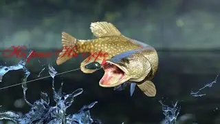Удивительная Ловля Щуки на мормышку!!!!