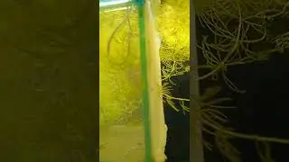 ШАБОЛДА😜 ЗА-ТО НАЕЛАСЬ🤣🥶