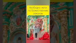 митрополит Онуфрій 