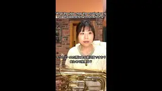 What the plates near the mouthpiece? マウスピースの所にある板は何ですか？