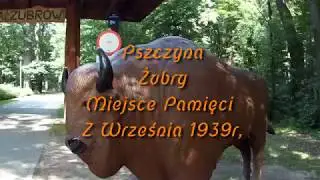 Pszczyna,Żubry,miejsce pamięci z września 1939r.