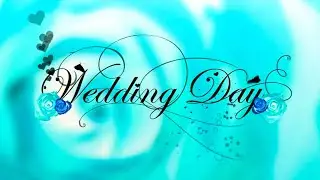 HD Wedding Animated Title Intro | Bride & Groom | Green Screen Effects