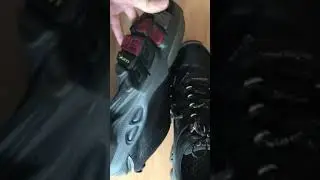 ecco biom