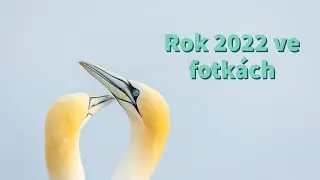 Probírám se rokem 2022 ve fotografii - příroda, komerční tvorba, svatby...