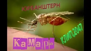 ЮРБАНШТЕРН - КАМАРА (КЛИП, 2047)