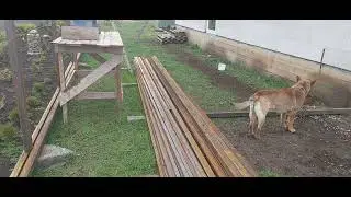567.Что нам стоит дом  🏠 построить , а потом ещё  навес 😄