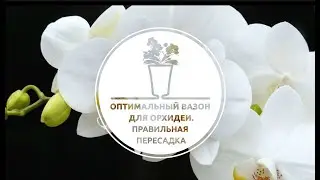 Arte-dea — оптимальный вазон для орхидеи. Правильная пересадка.