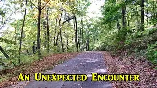An Unexpected Encounter