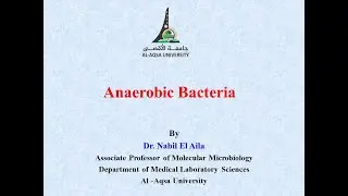 Chapter 12   Part II  Anaerobic bacteria