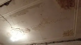 День 49. Рутина, скука и однообразие. Реставрация потолка с лепниной и штукатурного карниза.