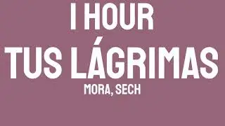 Mora, Sech - TUS LÁGRIMAS (1 HOUR) 