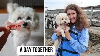 a summer day reconnecting with my dog :)