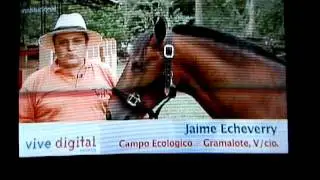 Campo Ecologico Gramalote en Canal Institucional