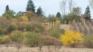 Plantăm pomi în livadă la cabană
