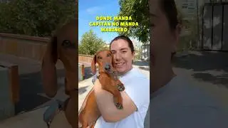Me ASUSTO un MONTÓN‼️😨 #dachshund #perrosalchicha #teckel