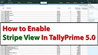 Stripe View In TallyPrime 5.0