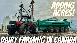 New Land Purchase And Manure Gear Up!