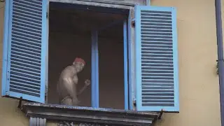 Mysterious sexy man dances for Italian civilians on lockdown