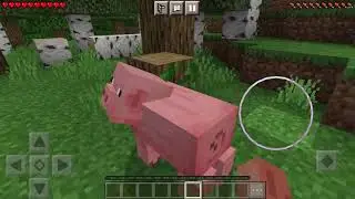 FOUND PEEPEEPOOPOO IN MINECRAFT !!!