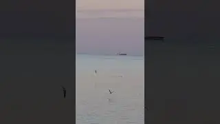🙏سبحان الخالق🙏