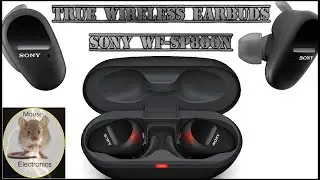 Wireless Earbuds Review  | SONY WF-SP800N | Best Wireless Headphones