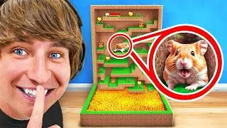 I Built A Minecraft Maze For My Hamster!