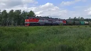 2ТЭ116-1531 со смешанным составом на участке Любятово - Черняковицы.