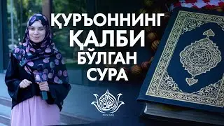 Қайси сура Қуръоннинг қалбидир?||